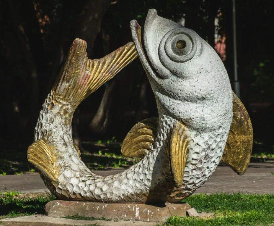 Самара золотая рыбка