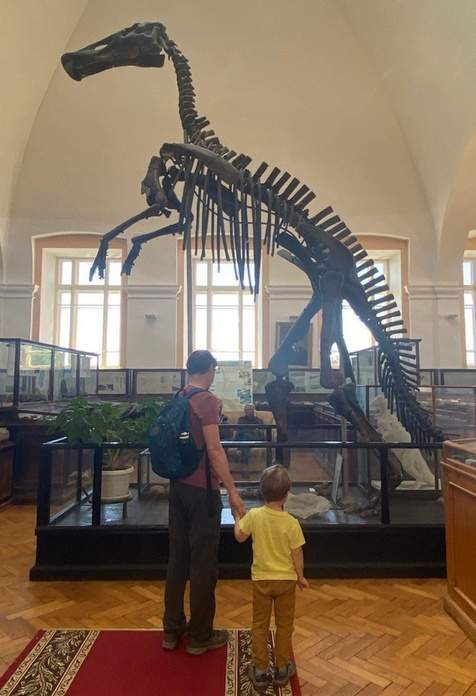 Скелет динозавра в геологоразведочном музее